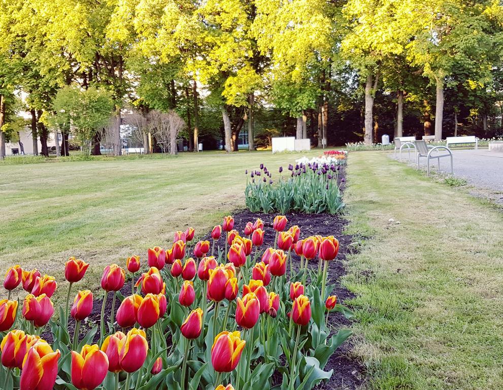 Hotel Garni Goldene Traube Bad Windsheim Esterno foto