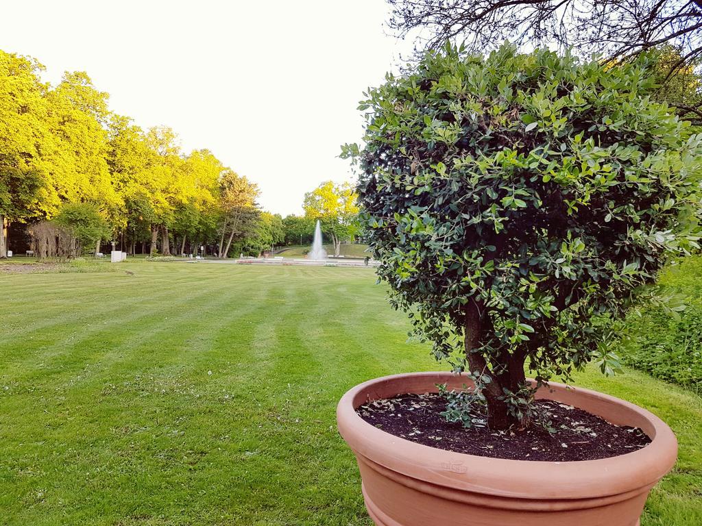 Hotel Garni Goldene Traube Bad Windsheim Esterno foto